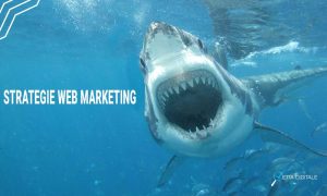 STRATEGIE-WEB-MARKETING2