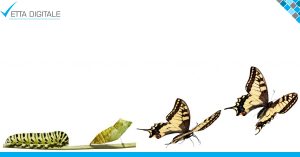 Trasformare lead in clienti